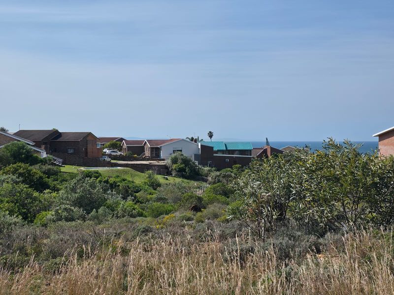 Natural Beauty with Breathtaking Kloof and Ocean Views - Photo 5