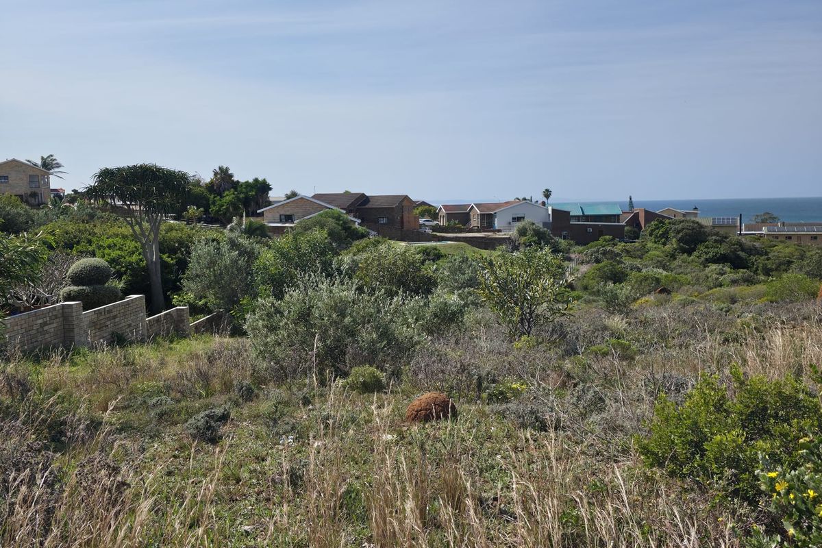Natural Beauty with Breathtaking Kloof and Ocean Views - Photo 3