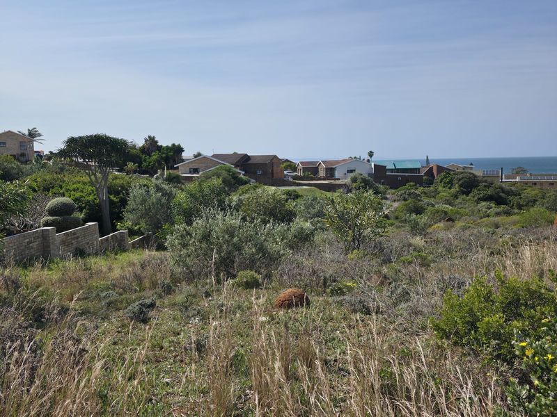 Natural Beauty with Breathtaking Kloof and Ocean Views - Photo 3