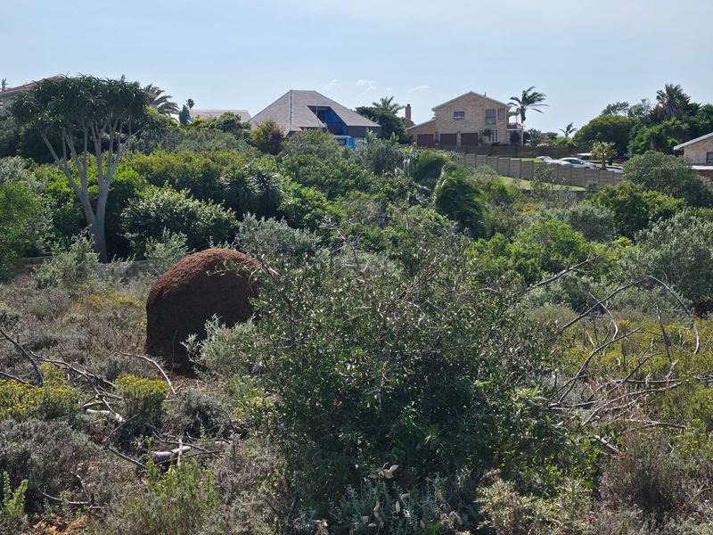 Natural Beauty with Breathtaking Kloof and Ocean Views - Photo 7