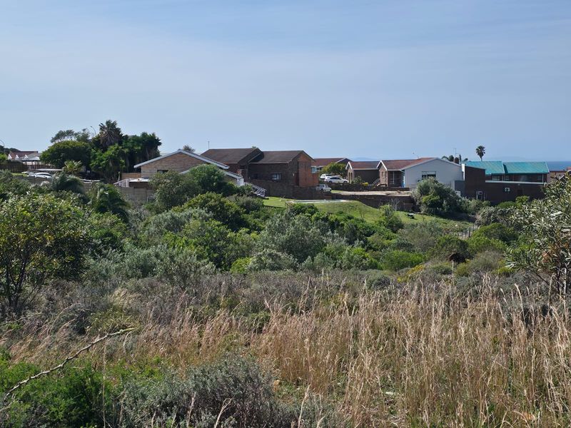 Natural Beauty with Breathtaking Kloof and Ocean Views - Photo 6