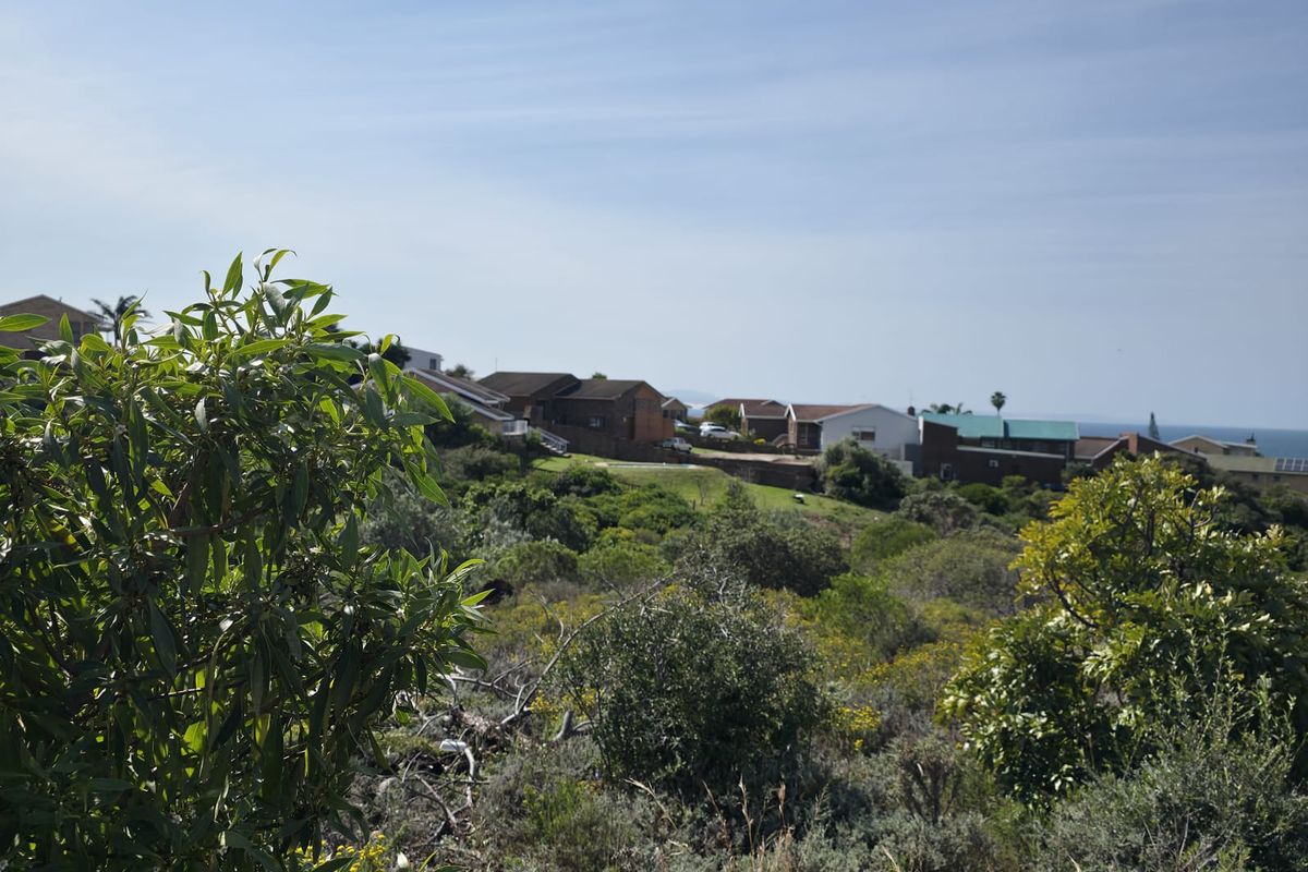 Natural Beauty with Breathtaking Kloof and Ocean Views - Photo 2