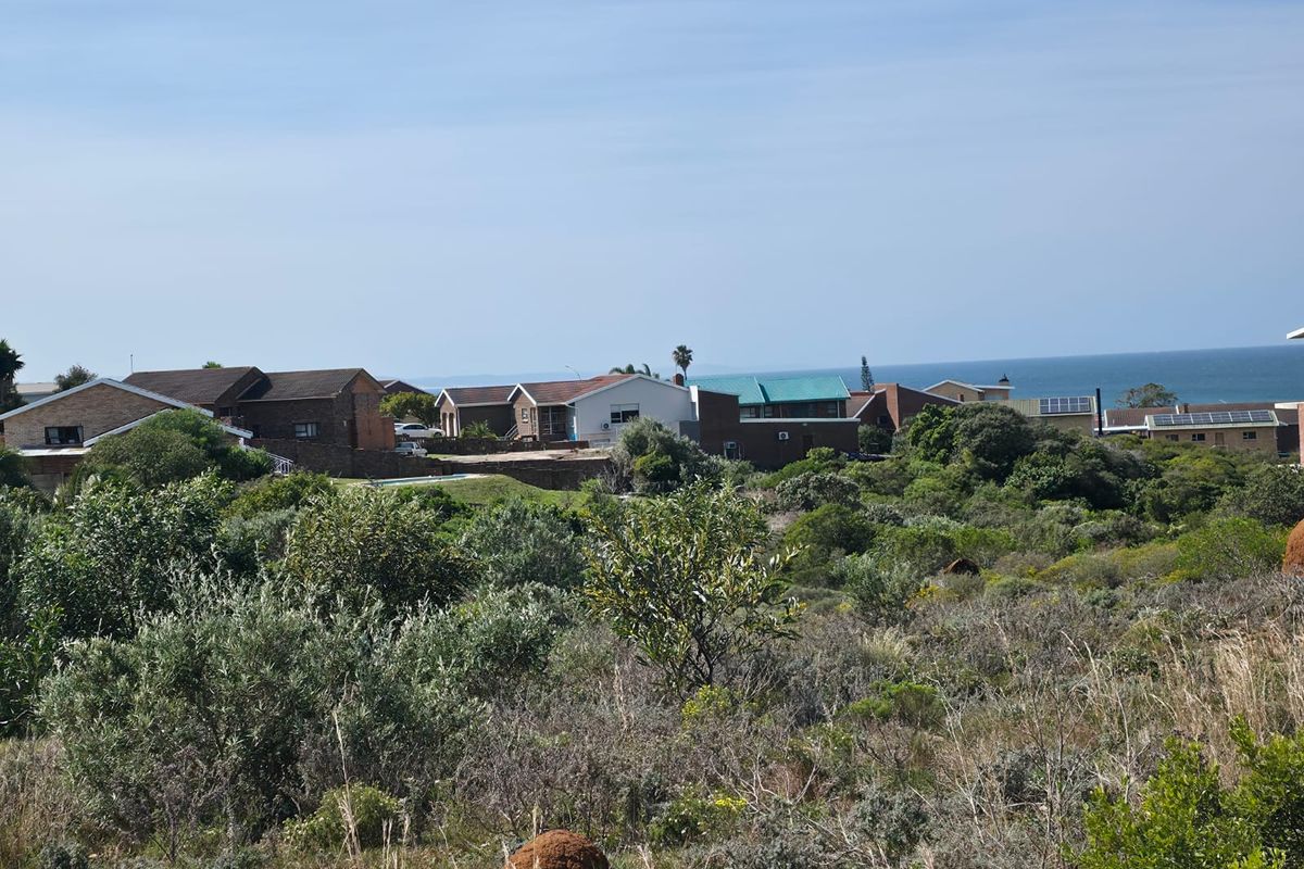 Natural Beauty with Breathtaking Kloof and Ocean Views - Photo 4