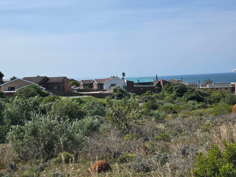 Natural Beauty with Breathtaking Kloof and Ocean Views - Photo 4