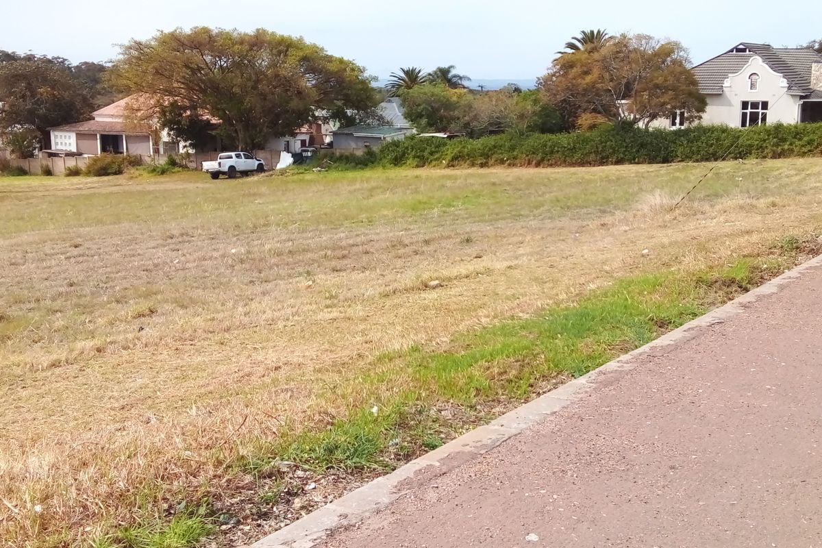 Two Vacant Plots in Central Albertinia - Photo 4