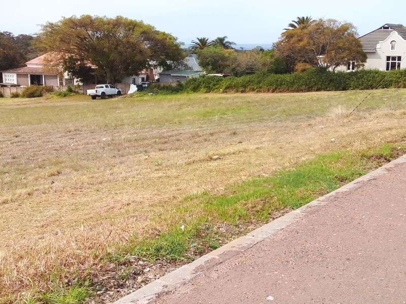 Two Vacant Plots in Central Albertinia - Photo 4