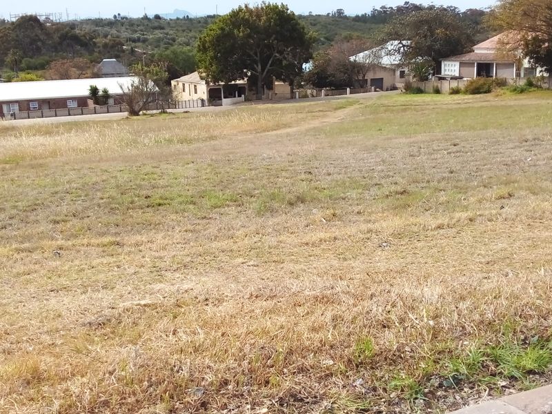 Two Vacant Plots in Central Albertinia - Photo 9