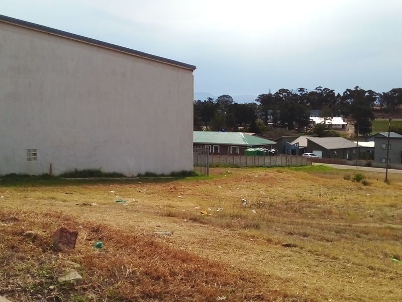 Two Vacant Plots in Central Albertinia - Photo 8