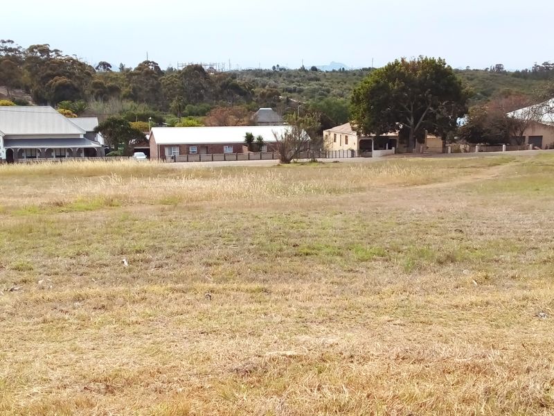 Two Vacant Plots in Central Albertinia - Photo 6