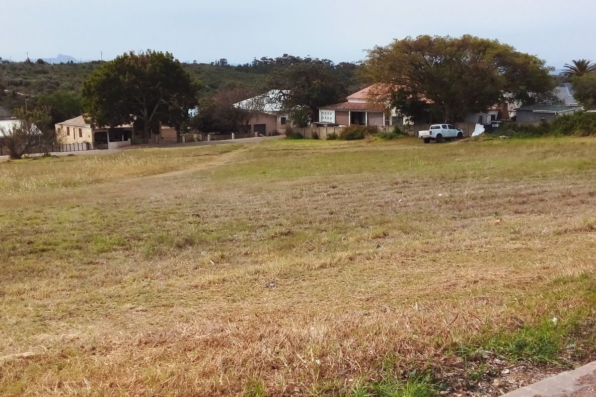 Two Vacant Plots in Central Albertinia - Photo 3