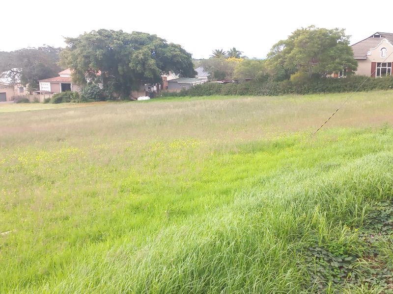 Two Vacant Plots in Central Albertinia - Photo 5