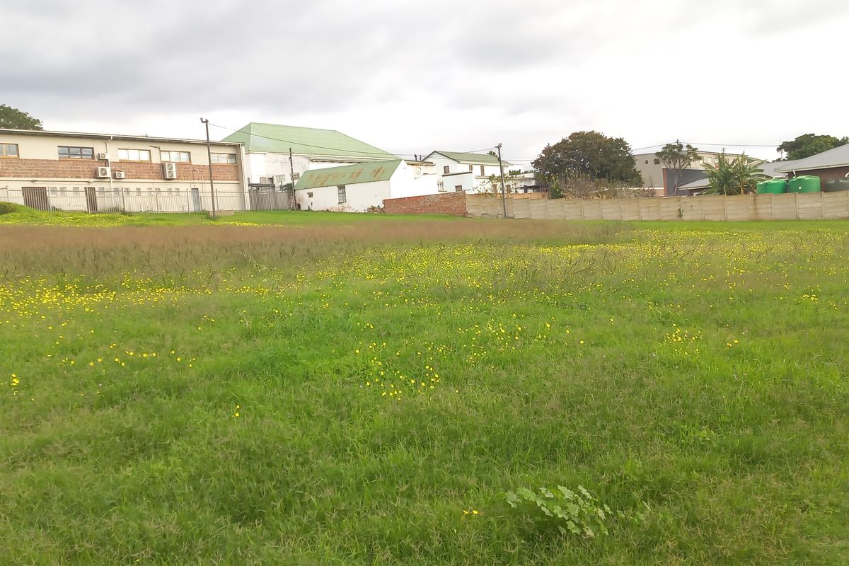 A view of a vacant residential plot featuring grassy terrain and a precast concrete boundary wall, situated in a developed neighborhood.