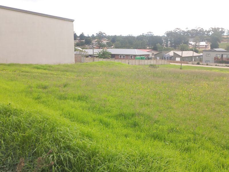 Two Vacant Plots in Central Albertinia - Photo 9