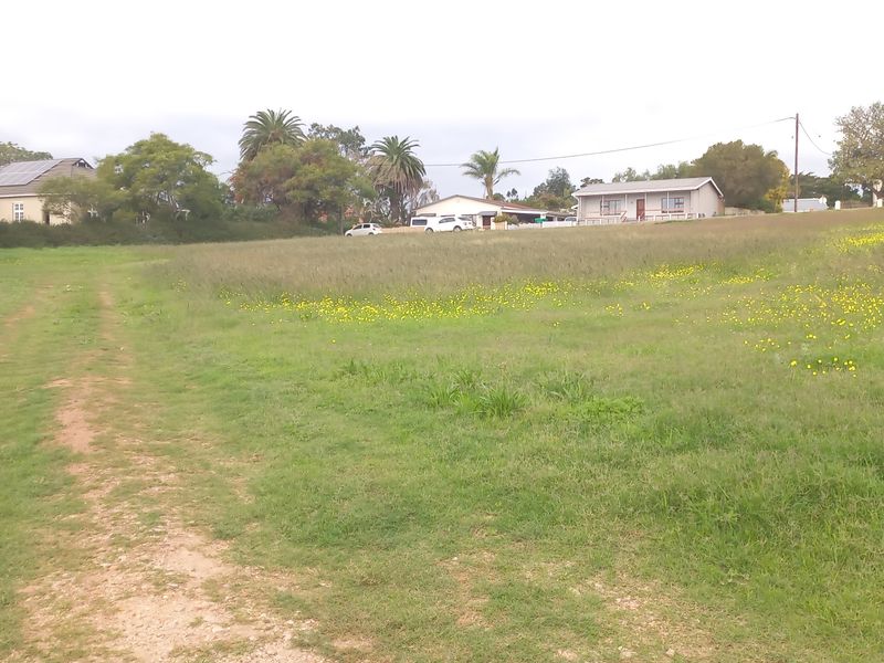 Two Vacant Plots in Central Albertinia - Photo 10