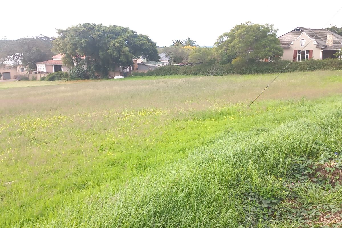 A vacant residential plot featuring open grassland and a concrete retaining wall, situated in a developed neighborhood setting.