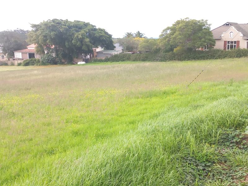 Two Vacant Plots in Central Albertinia - Photo 4