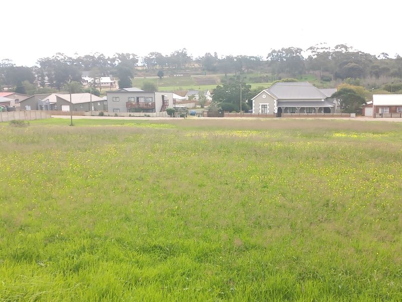 Two Vacant Plots in Central Albertinia - Photo 8