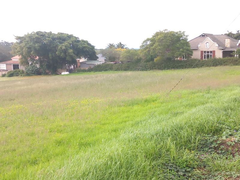 Two Vacant Plots in Central Albertinia - Photo 6