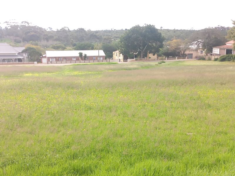 Two Vacant Plots in Central Albertinia - Photo 7