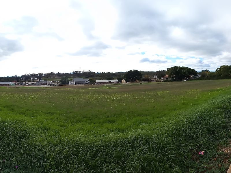 Two Vacant Plots in Central Albertinia - Photo 3