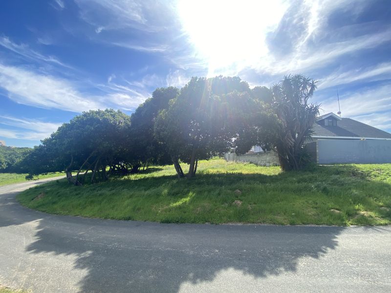 Spacious 1110m2 stand, walking distance to the ocean - Photo 2