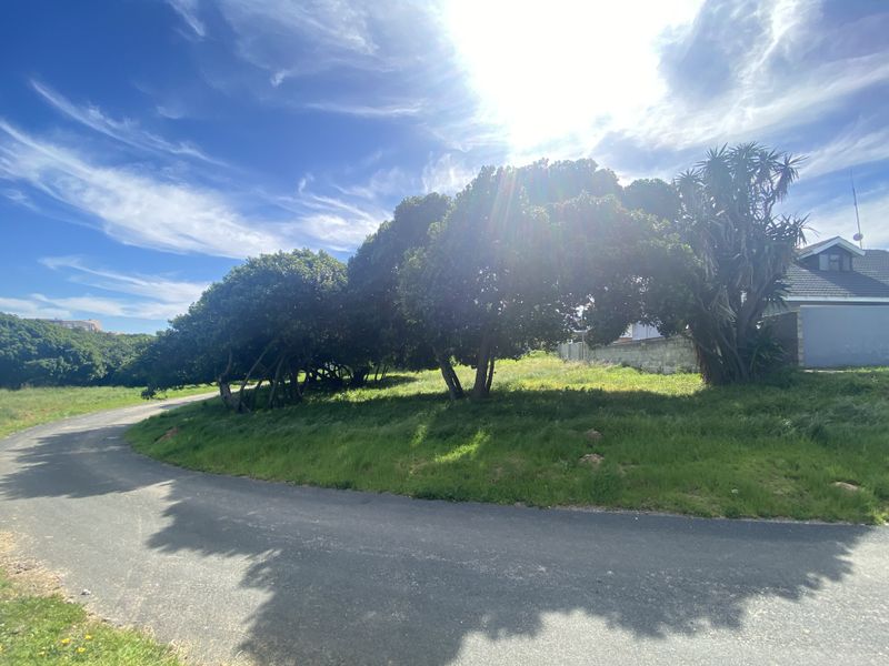 Spacious 1110m2 stand, walking distance to the ocean - Photo 1