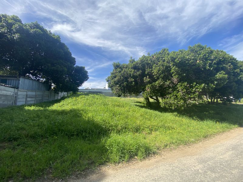 Spacious 1110m2 stand, walking distance to the ocean - Photo 7