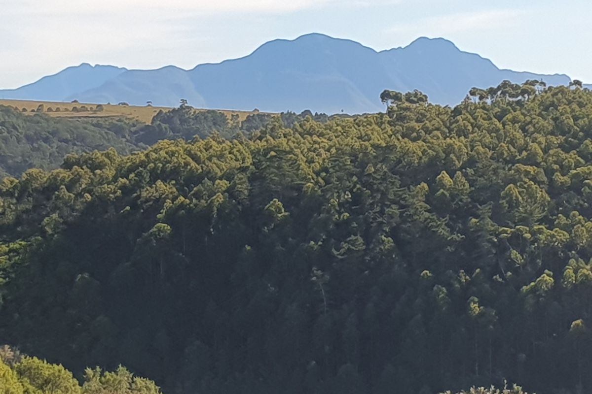 North facing stand on the Gwaing river - Photo 5