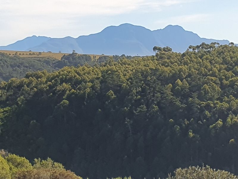 North facing stand on the Gwaing river - Photo 5