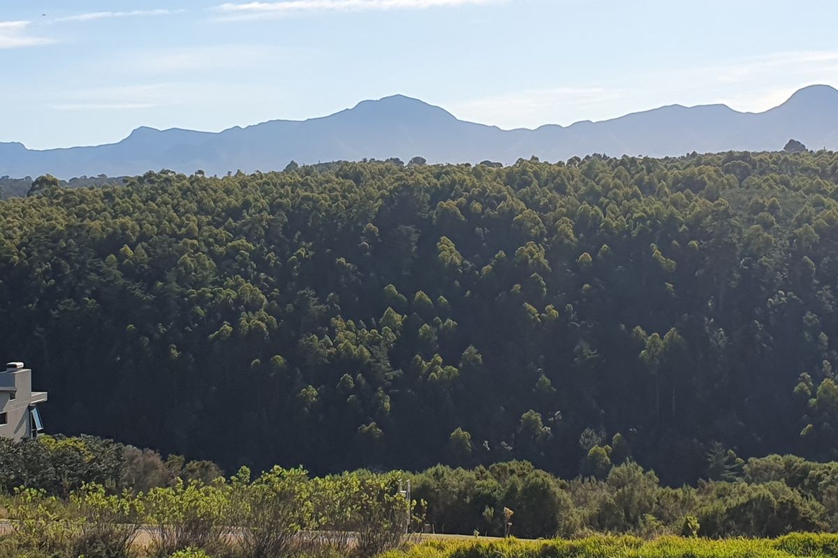 North facing stand on the Gwaing river - Photo 4