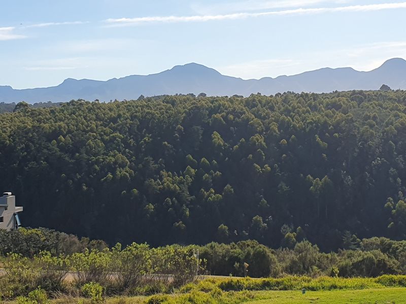 North facing stand on the Gwaing river - Photo 4