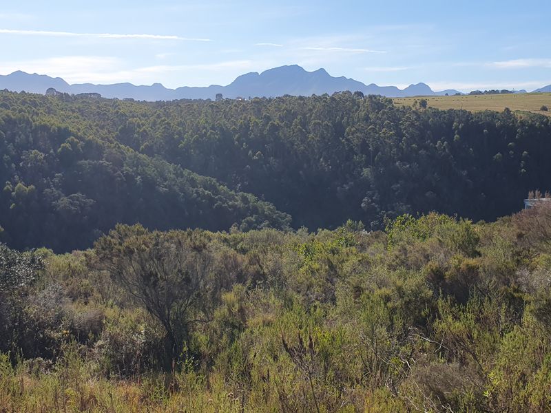 North facing stand on the Gwaing river - Photo 6
