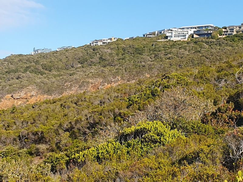 North facing stand on the Gwaing river - Photo 6