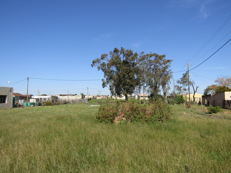 Great Value! - Photo 6