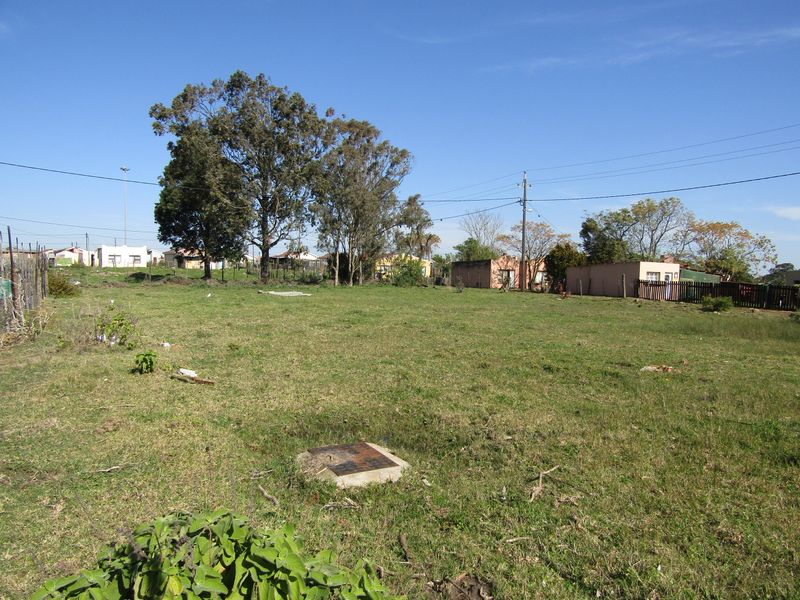 Great Value! - Photo 7