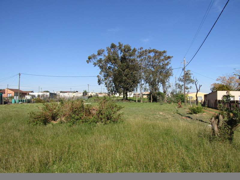 Great Value! - Photo 5