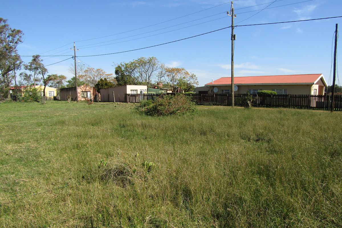 Great Value! - Photo 2