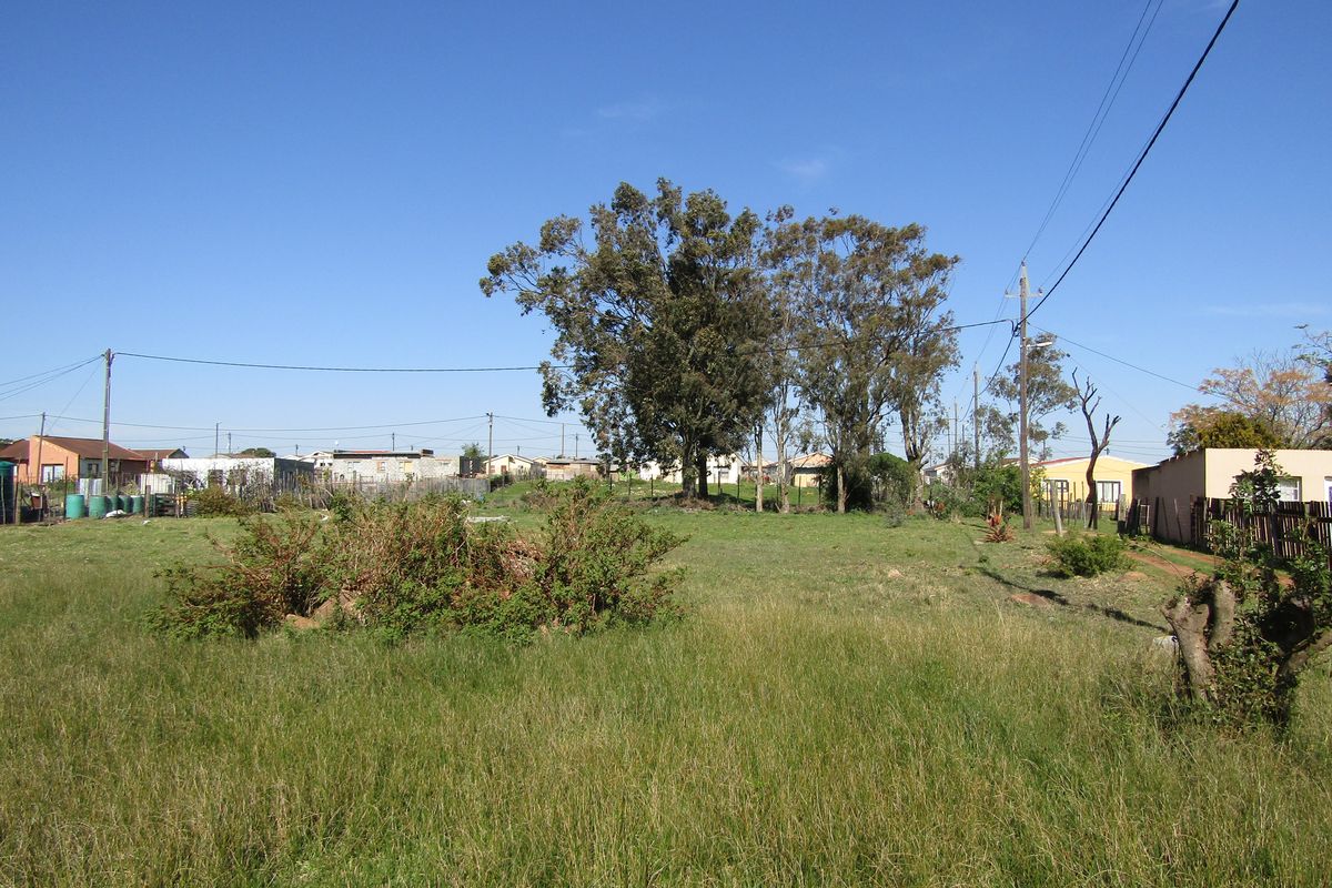 Great Value! - Photo 4