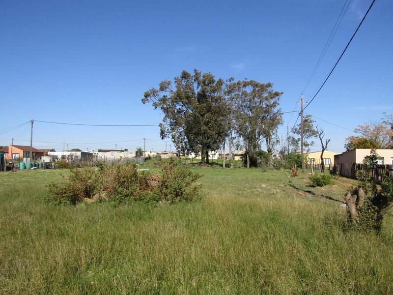 Great Value! - Photo 4