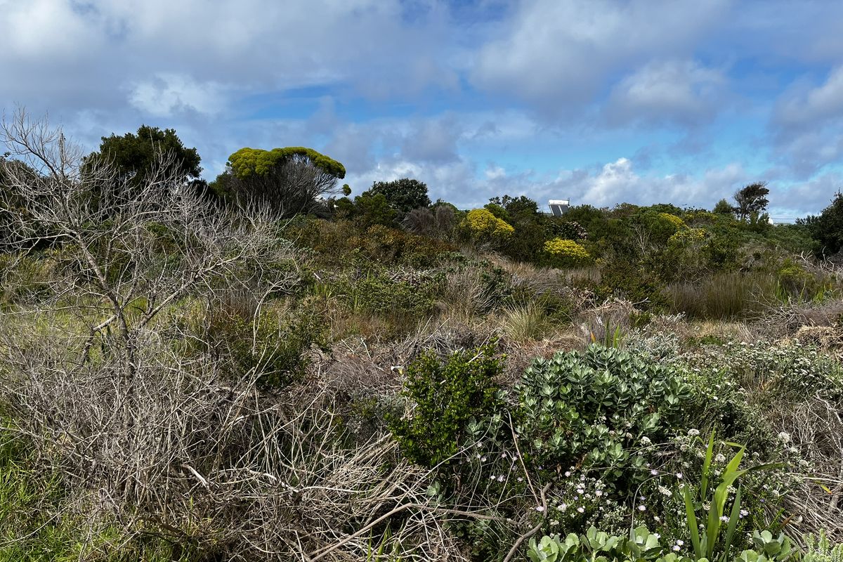 Vacant Land large erf in Heron Road Betty's Bay - Photo 5