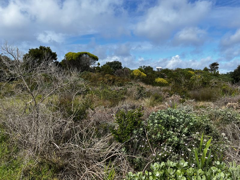 Vacant Land large erf in Heron Road Betty's Bay - Photo 5