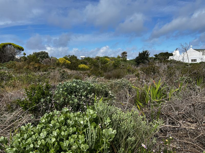 Vacant Land large erf in Heron Road Betty's Bay - Photo 10