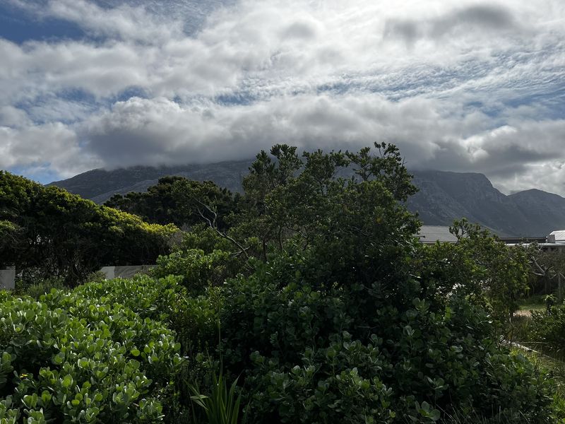 Vacant Land large erf in Heron Road Betty's Bay - Photo 7