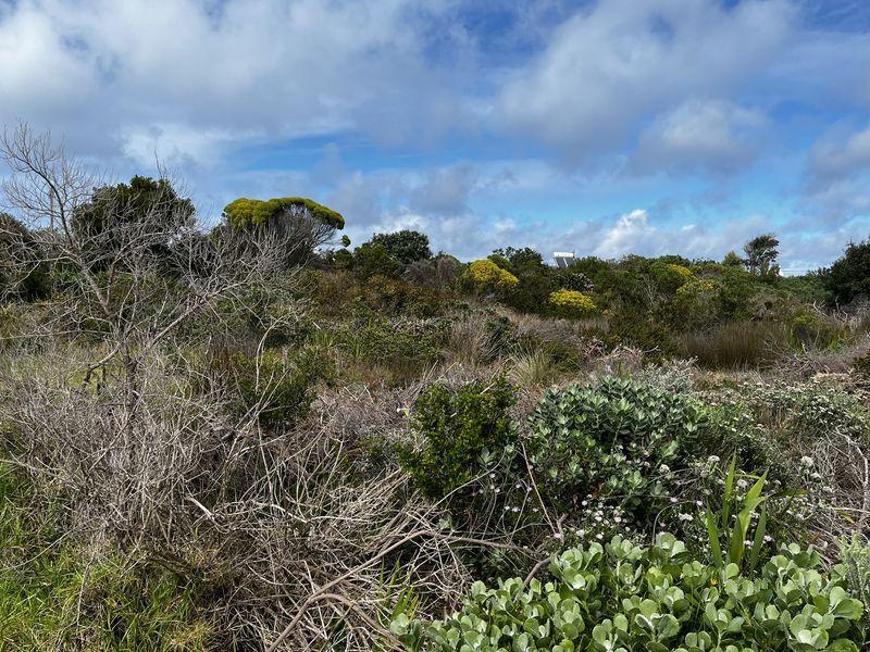 Vacant Land large erf in Heron Road Betty's Bay - Photo 8