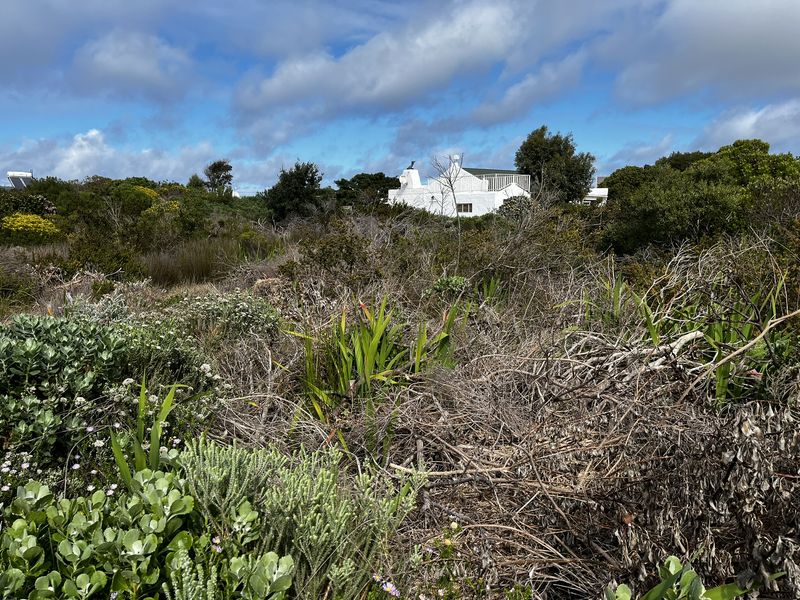 Vacant Land large erf in Heron Road Betty's Bay - Photo 6