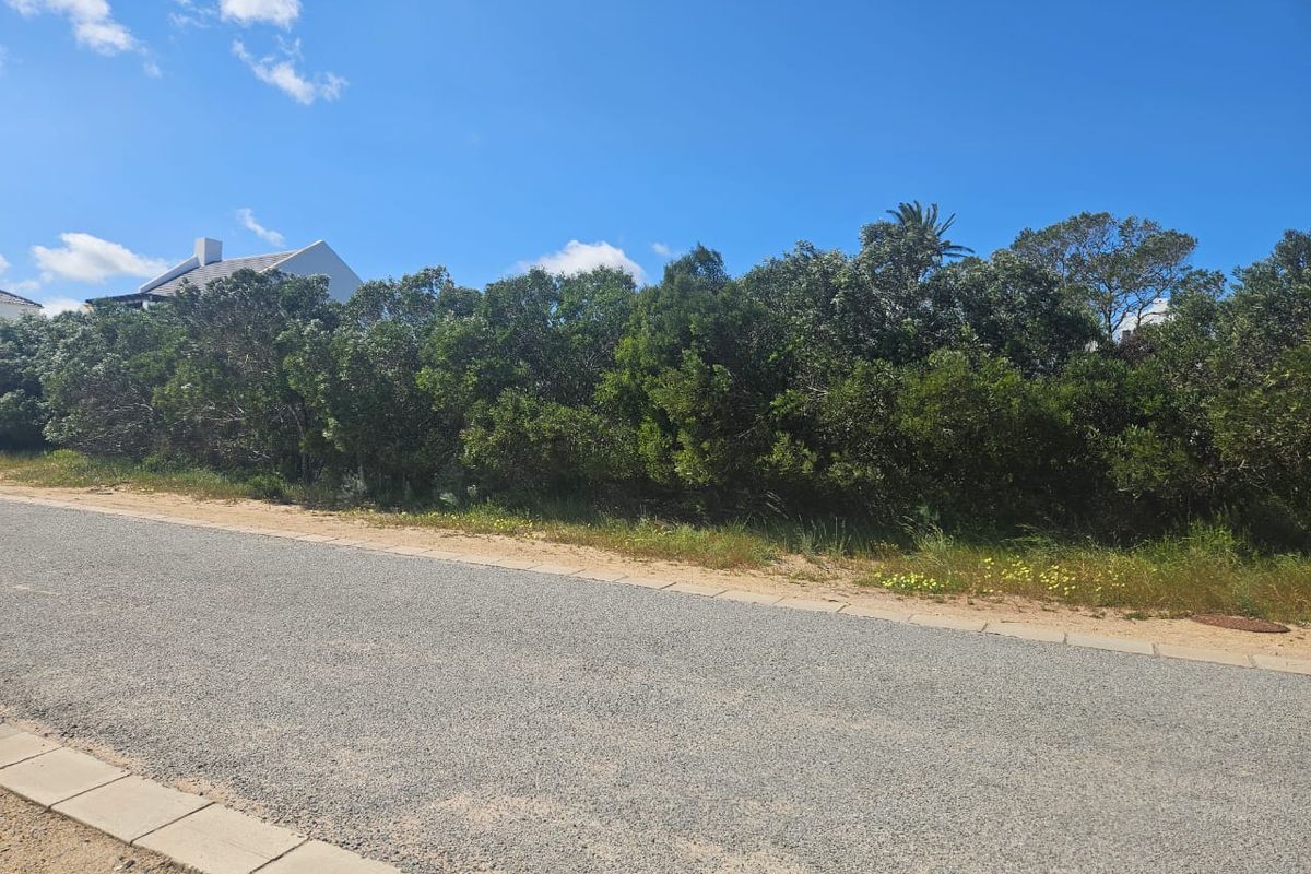 Grab This Opportunity! - Photo 4