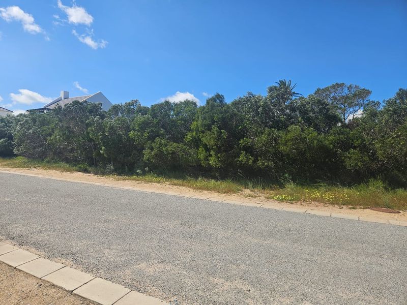 Grab This Opportunity! - Photo 4