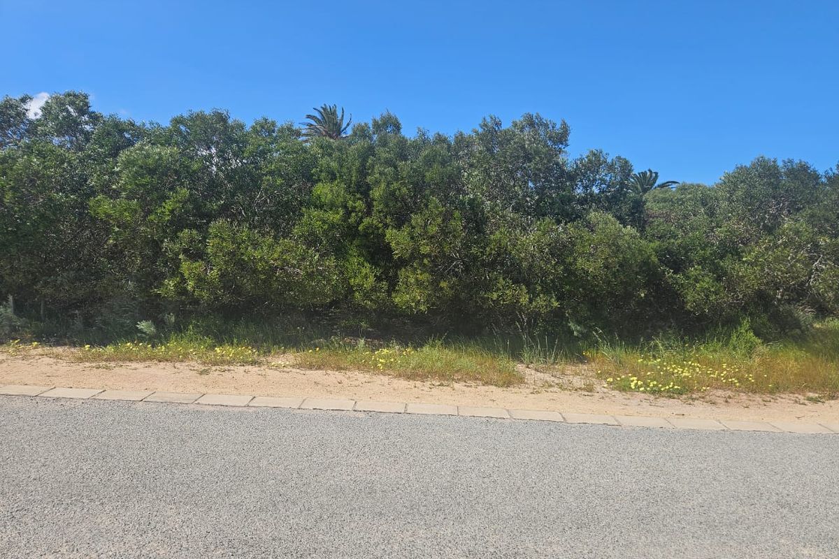 Grab This Opportunity! - Photo 3