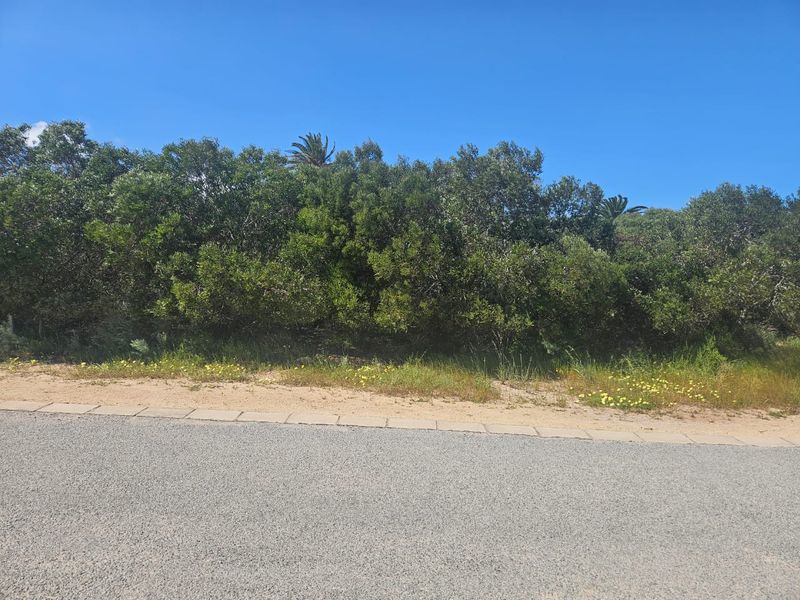 Grab This Opportunity! - Photo 3