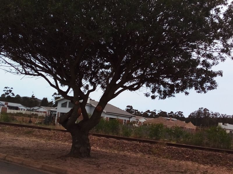 Commercially zoned vacant stand ’ - Photo 7